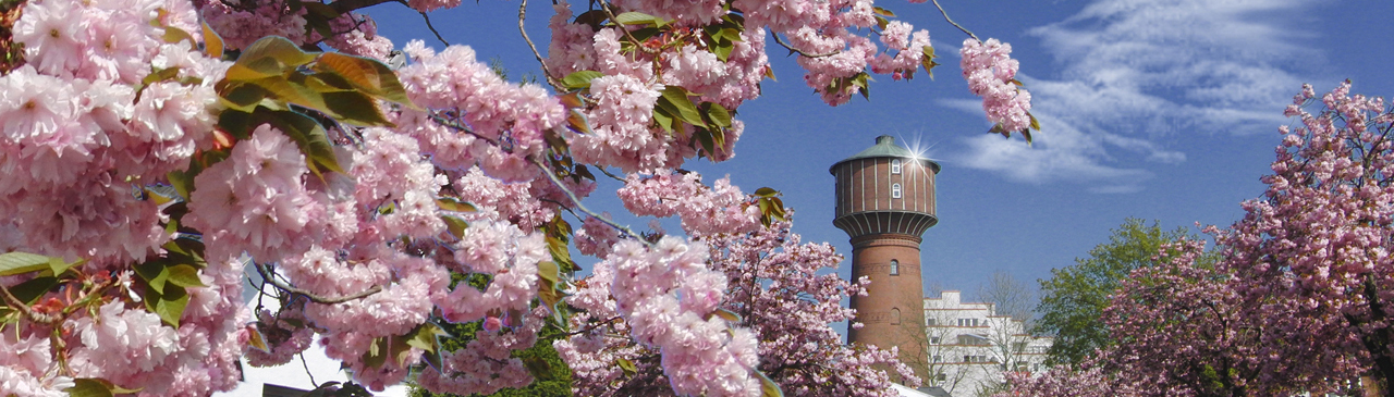 Foto Wasserturm Elmshorn im Frühling