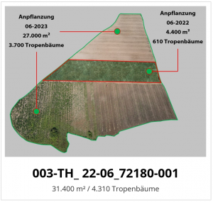 Reforest The World: Areal Projekt 003 mit Daten