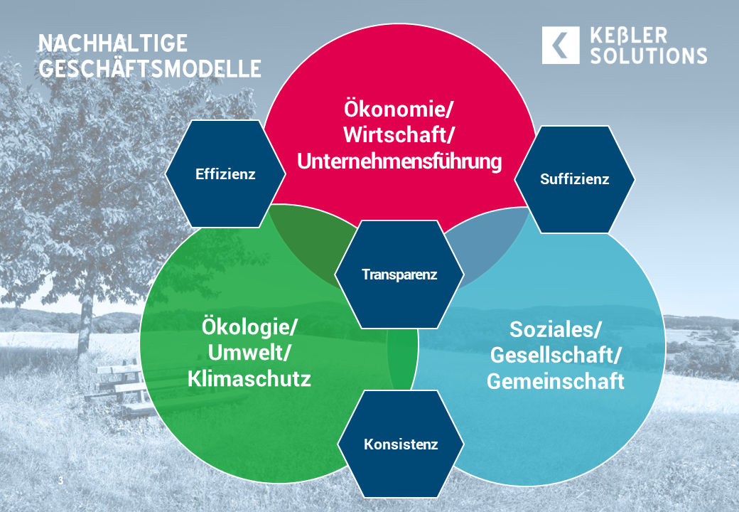 Visualisierung Nachhaltige Geschäftsmodelle nach Keßler Solutions