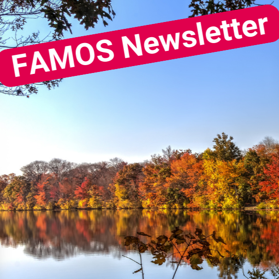 PR-Bild FAMOS-Newsletter mit Herbstwald im Hintergrund, der sich im See spiegelt.